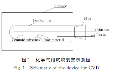 圖1 化學(xué)氣相沉積裝置示意圖