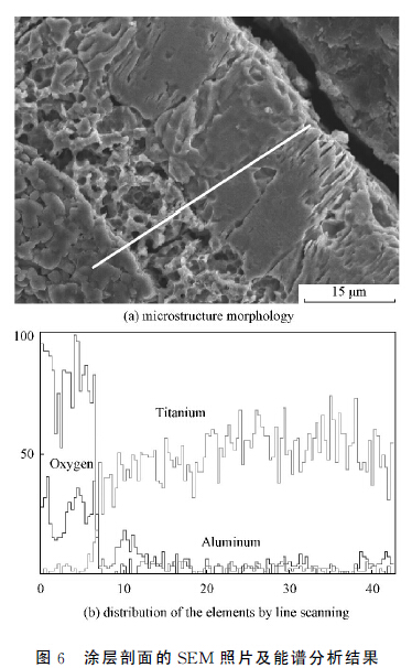 圖6 涂層剖面的SEM 照片及能譜分析結(jié)果