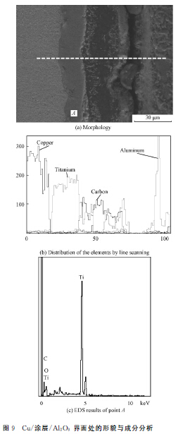 圖9?。茫酰繉樱粒欤玻希?界面處的形貌與成分分析